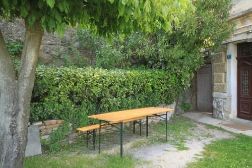 Outdoor Pictures 9