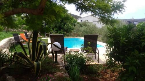 Outdoor Pictures 24