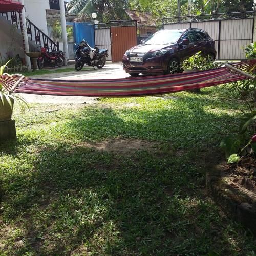 Outdoor Pictures 7