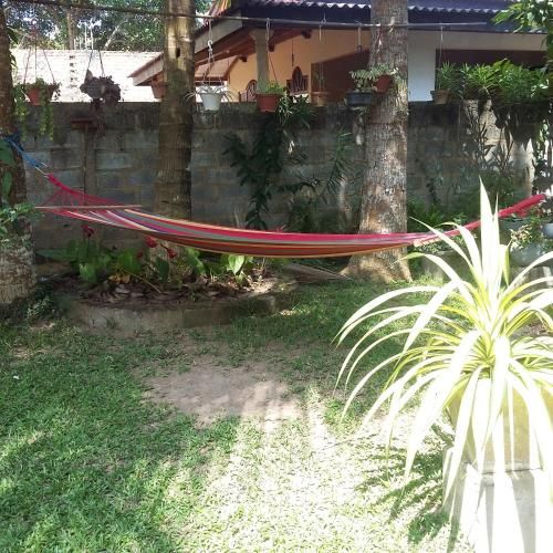 Outdoor Pictures 8