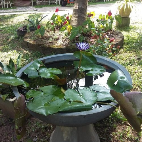Outdoor Pictures 9
