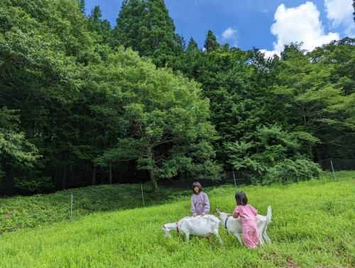 1日 1 組 古民家の宿 みのり家 ジビエ鍋