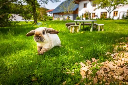 Outdoor Pictures 17