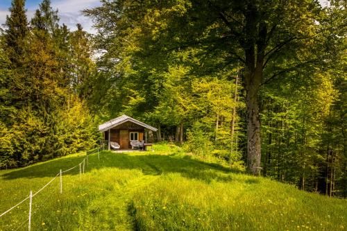Outdoor Pictures 20