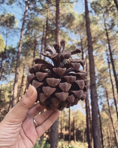 Sukoon Blusalz Escapade Bhatrojkhan