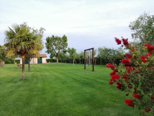 Outdoor Pictures 10