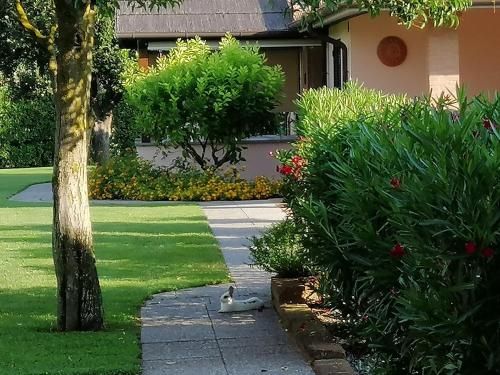 Outdoor Pictures 11