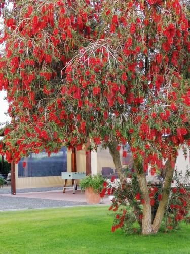 Outdoor Pictures 12