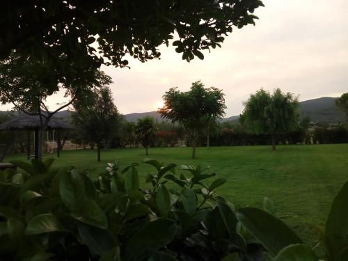 Outdoor Pictures 21
