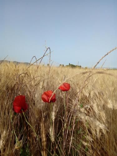 Outdoor Pictures 23