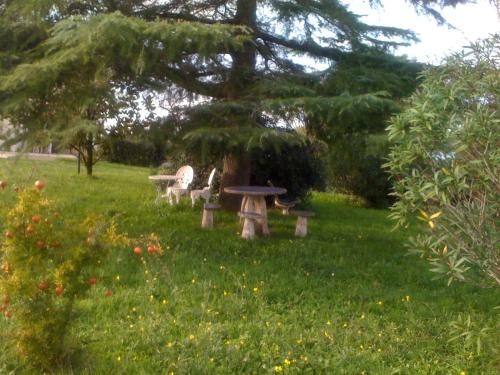 Outdoor Pictures 24