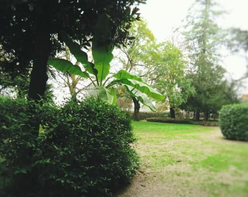 Outdoor Pictures 7
