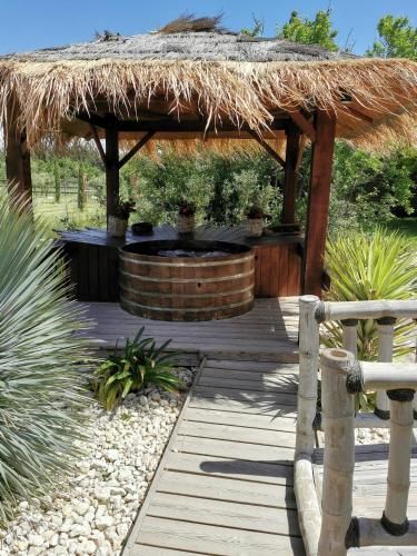Outdoor Pictures 21