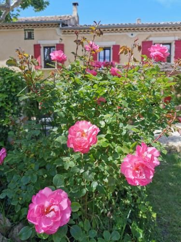 Outdoor Pictures 22