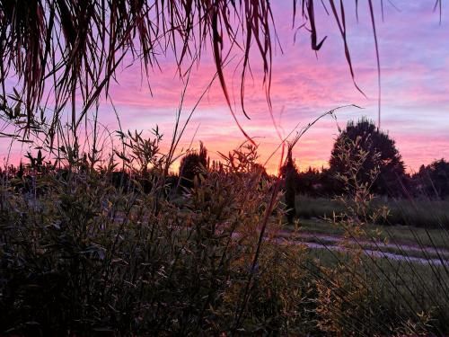 Outdoor Pictures 24