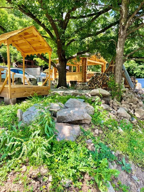 Outdoor Pictures 23