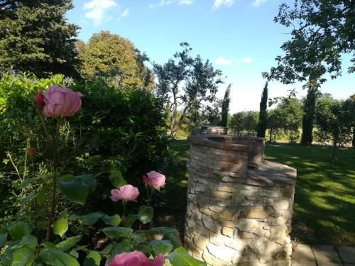 Outdoor Pictures 8