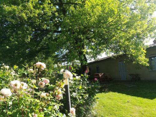 Outdoor Pictures 9