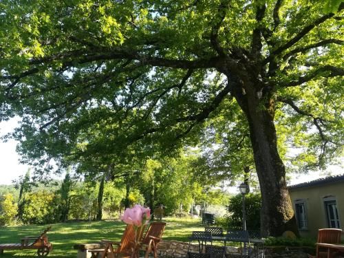 Outdoor Pictures 10