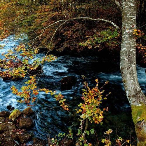 Outdoor Pictures 4