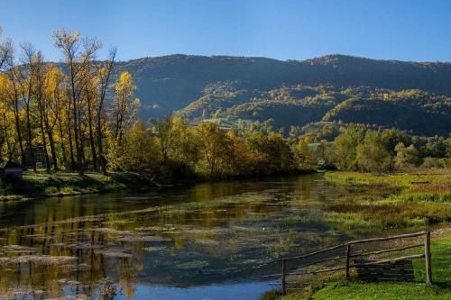 Outdoor Pictures 20