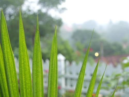 Outdoor Pictures 6