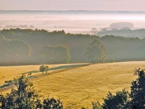 Outdoor Pictures 20