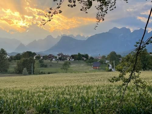 Outdoor Pictures 17