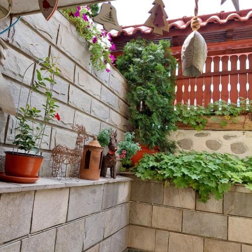 Outdoor Pictures 14
