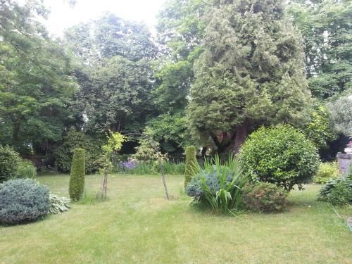 Outdoor Pictures 11