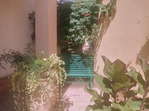 Outdoor Pictures 6