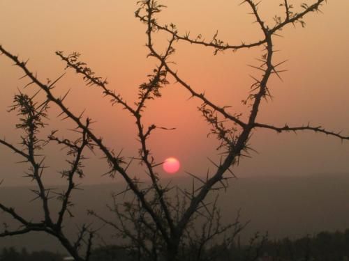 Outdoor Pictures 22