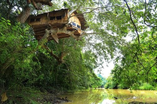 Kumbuk Tree House Yala