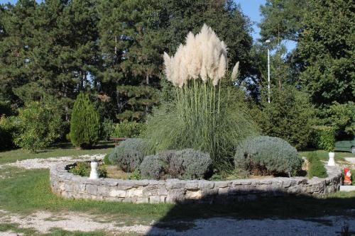 Outdoor Pictures 23