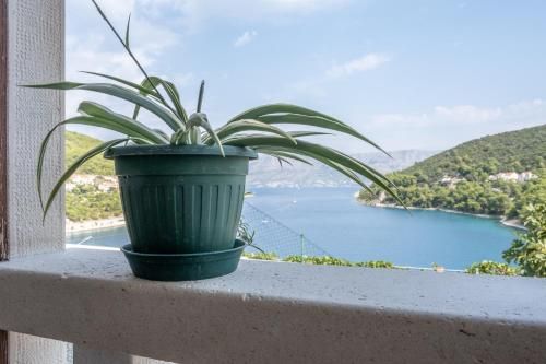 Outdoor Pictures 24