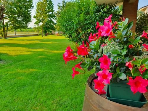 Outdoor Pictures 12