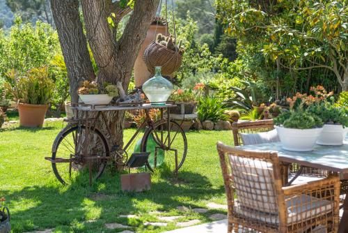 Outdoor Pictures 7