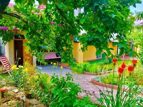 Outdoor Pictures 24