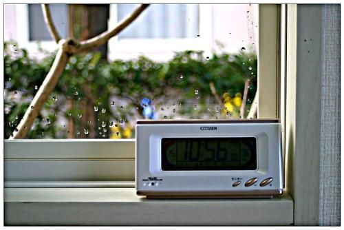 Outdoor Pictures 12