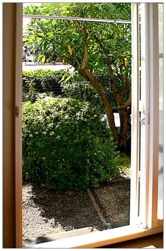 Outdoor Pictures 19