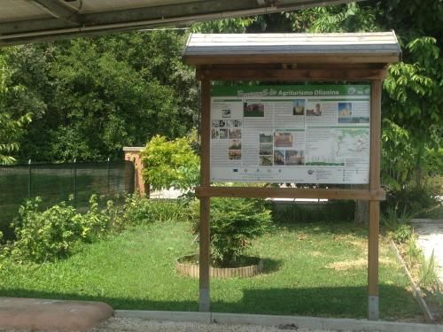 Outdoor Pictures 5