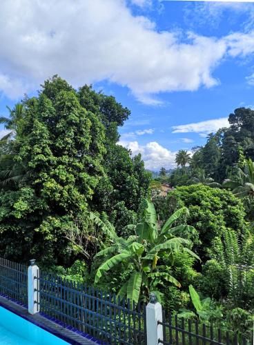 Outdoor Pictures 20
