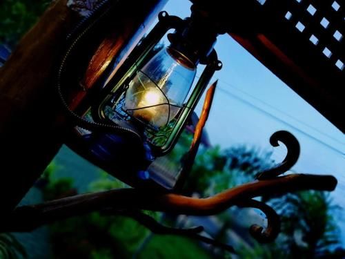 Outdoor Pictures 6
