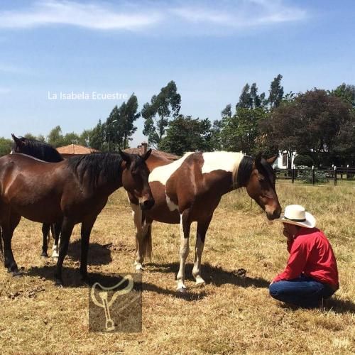La Isabela Estancia Ecuestre