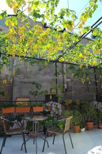 Outdoor Pictures 20
