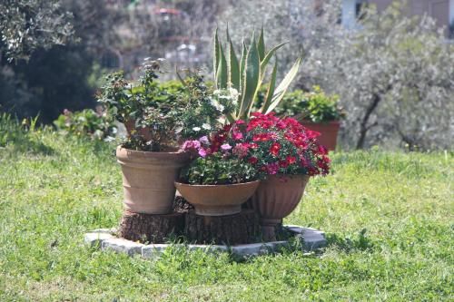 Outdoor Pictures 15