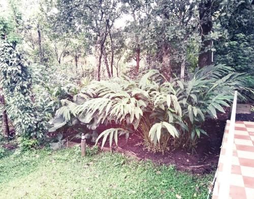 Outdoor Pictures 7