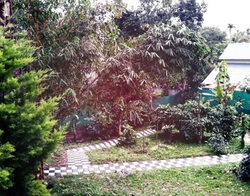 Outdoor Pictures 8