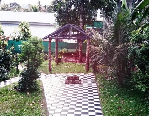 Outdoor Pictures 9