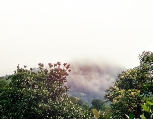 Outdoor Pictures 15